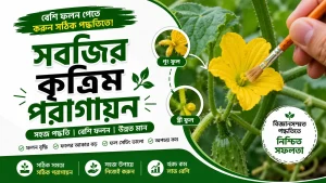সবজির কৃত্রিম পরাগায়ন