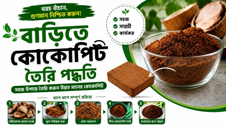 বাড়িতে কোকোপিট তৈরি