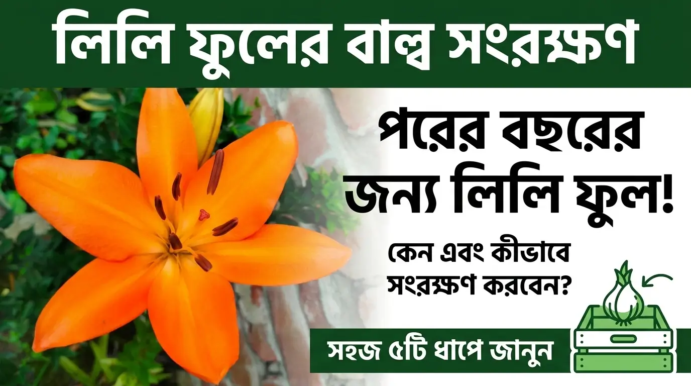 লিলিয়াম ফুল