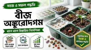 বীজের অঙ্কুরোদগম পদ্ধতি