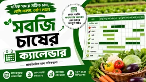 সবজি চাষের ক্যালেন্ডার