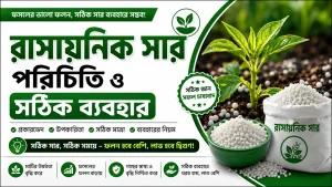 রাসায়নিক সার